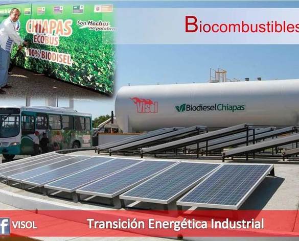 Primera planta de biocombustibles con la energía solar en el año 2010